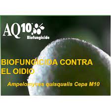fungicida-microbiologico