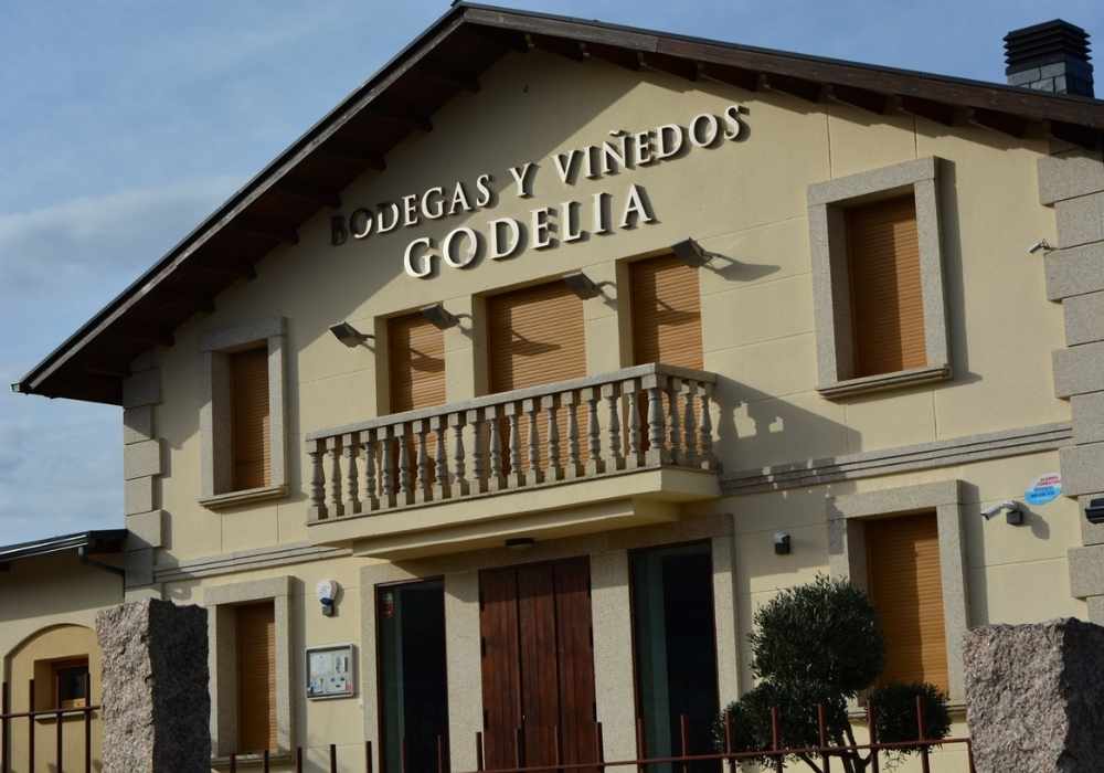 bodega-godelia-pieros