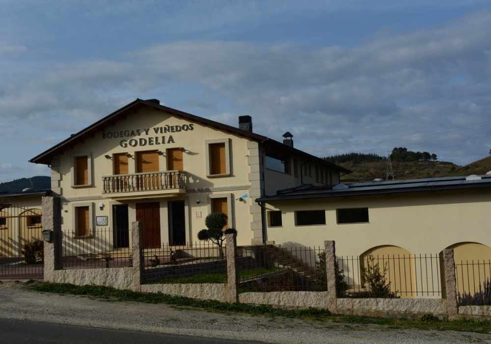 bodegas-godelia-vista
