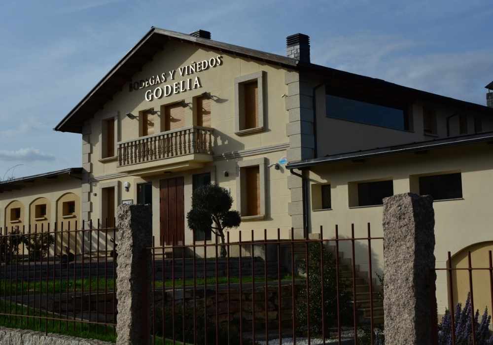 godelia-puerta-entrada