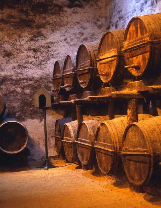 barricas-bodega-vino