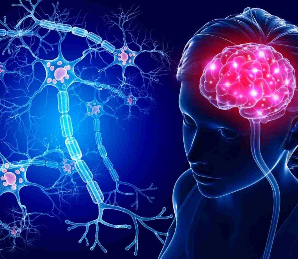 asociacion-cerebro-vino-caro