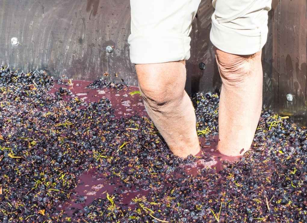 elaboracion-ancestral-vino