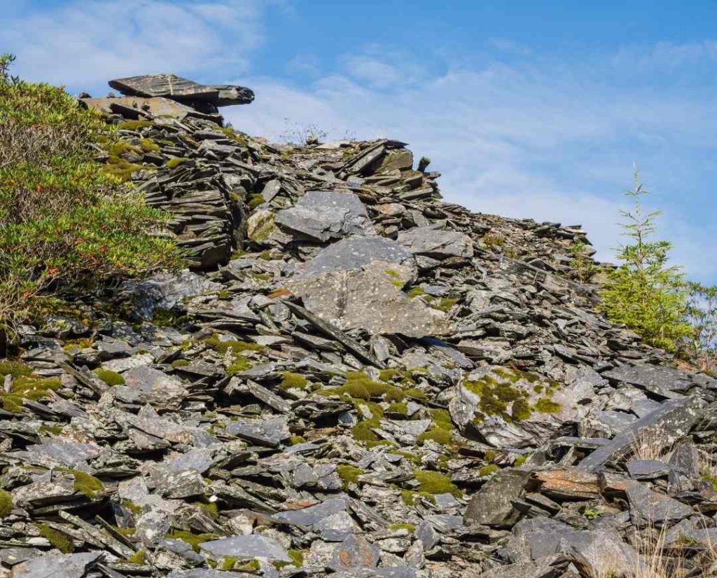 suelo-pizarra-bierzo