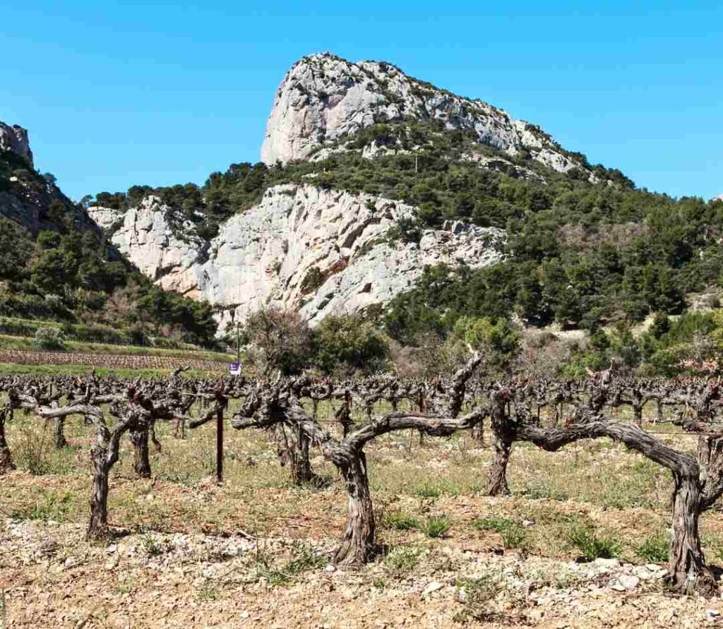 cepas-terreno-dificil