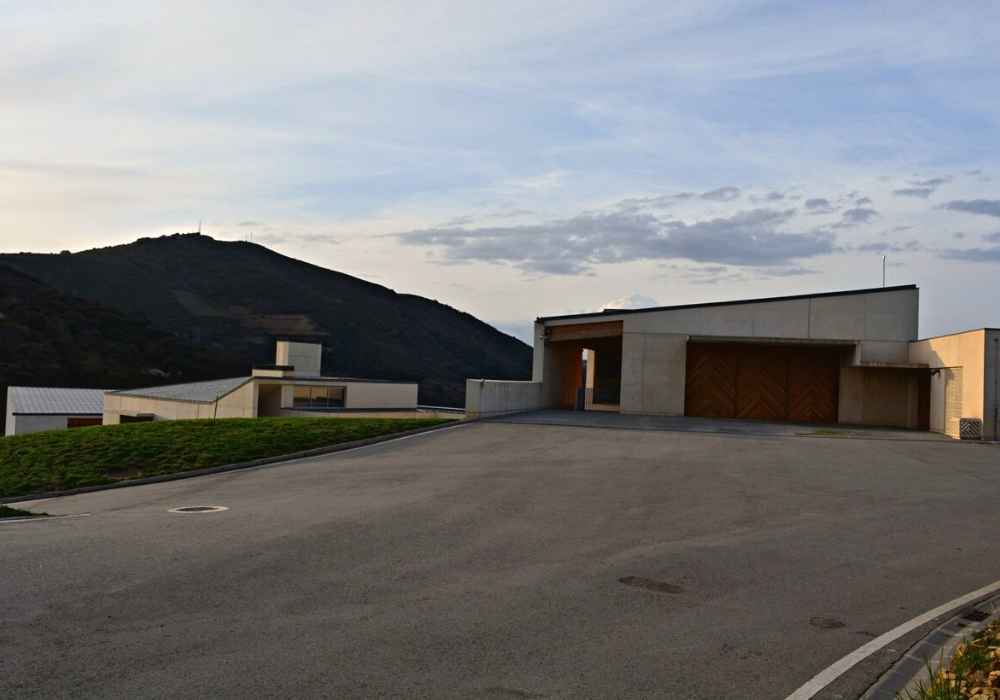 bodega-descendientes-j-palacios