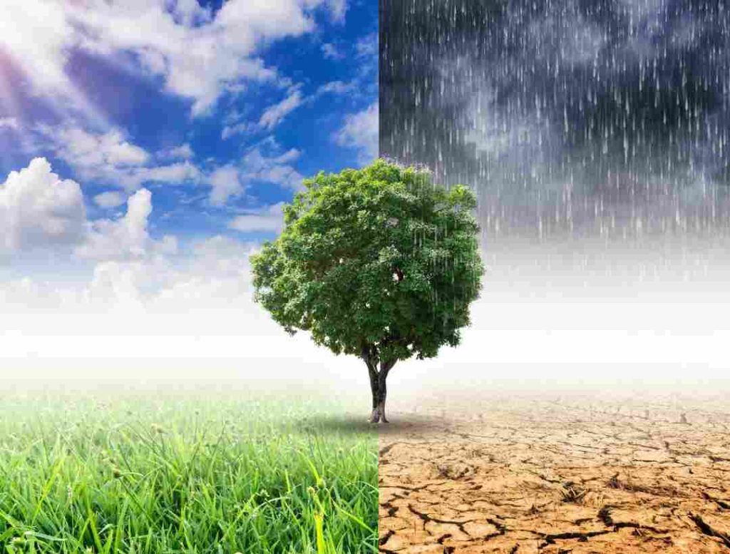 variedad-climas-bierzo