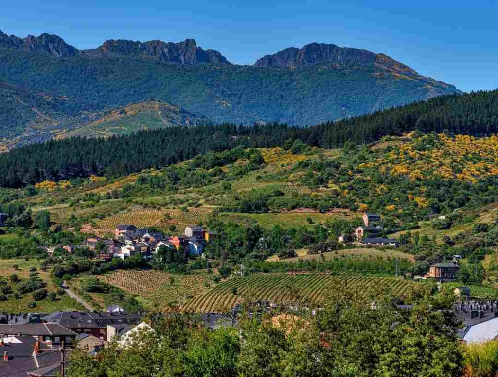 municipio-vinicola-montaña