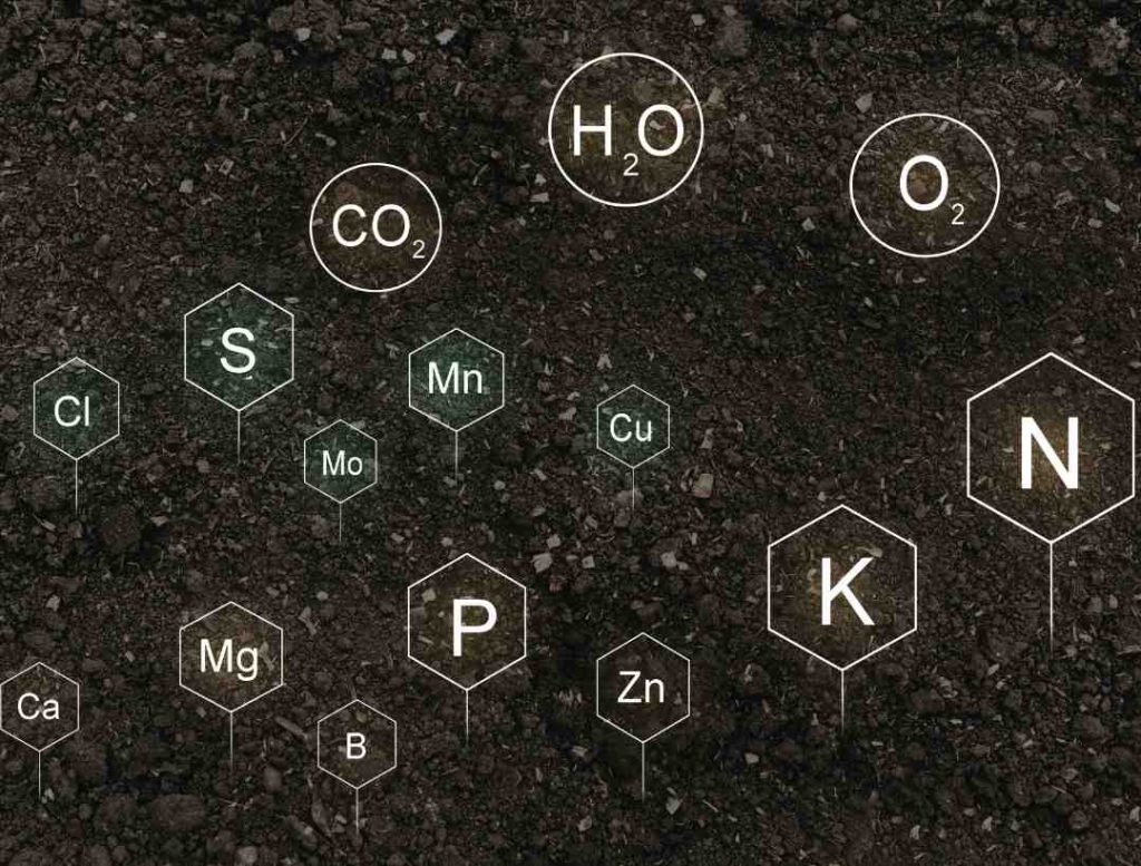 nutrientes-suelos-viñedos