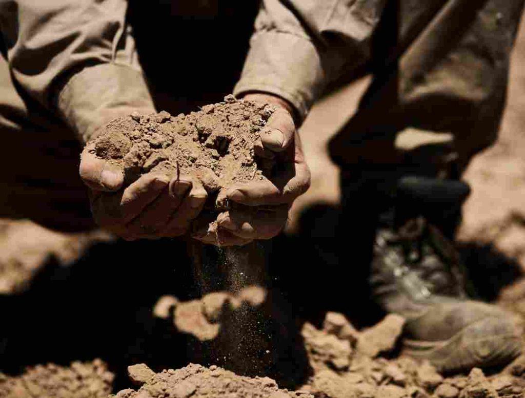 suelos-ricos-nutrientes