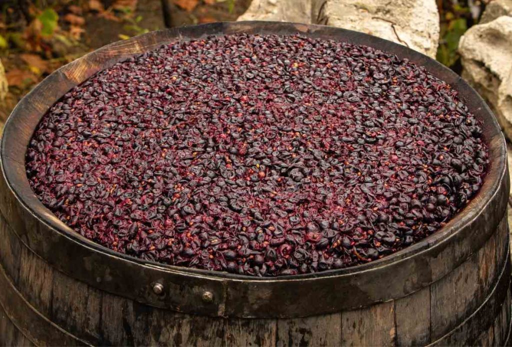 sabores-fermentacion-vino