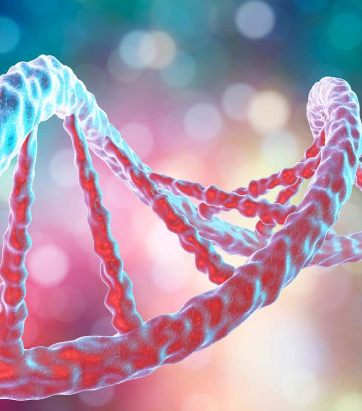 dna-molecula-carbohidratos