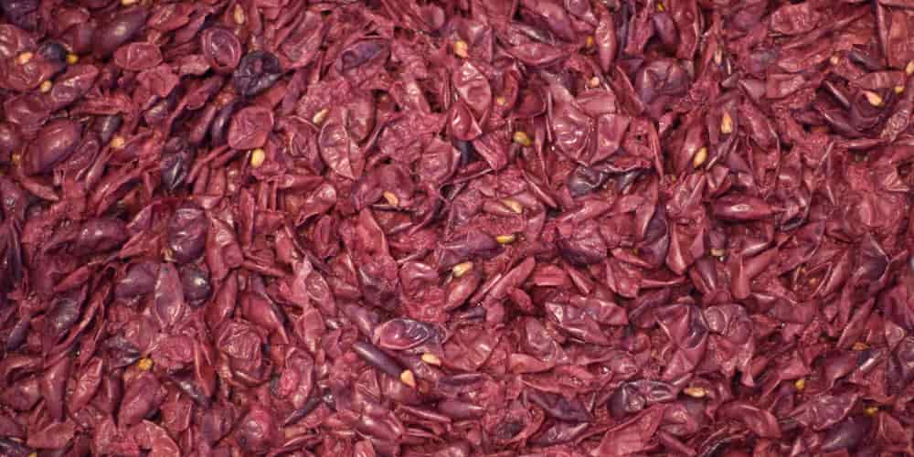 pieles-uva-rica-flavonoides