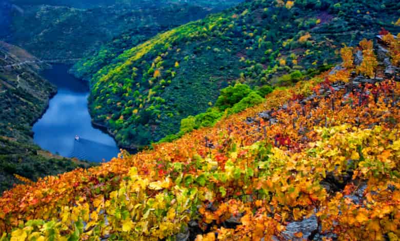 ribera-sacra-rio-sil