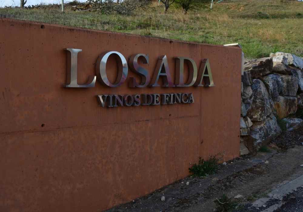 bodega-losada