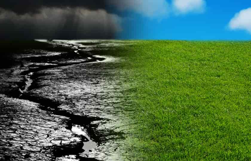 fotografia-suelos-del-bierzo-mitad-clima-seco-mitad-humedo-ideales-para-sus-vinos