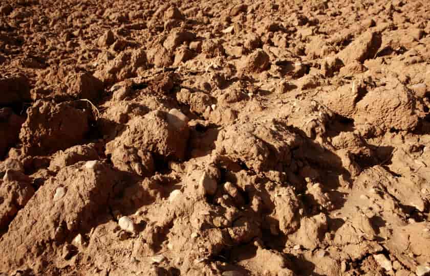 vista-suelos-arcilla-removidos-acompañantes-vinos-bierzo-de-valles