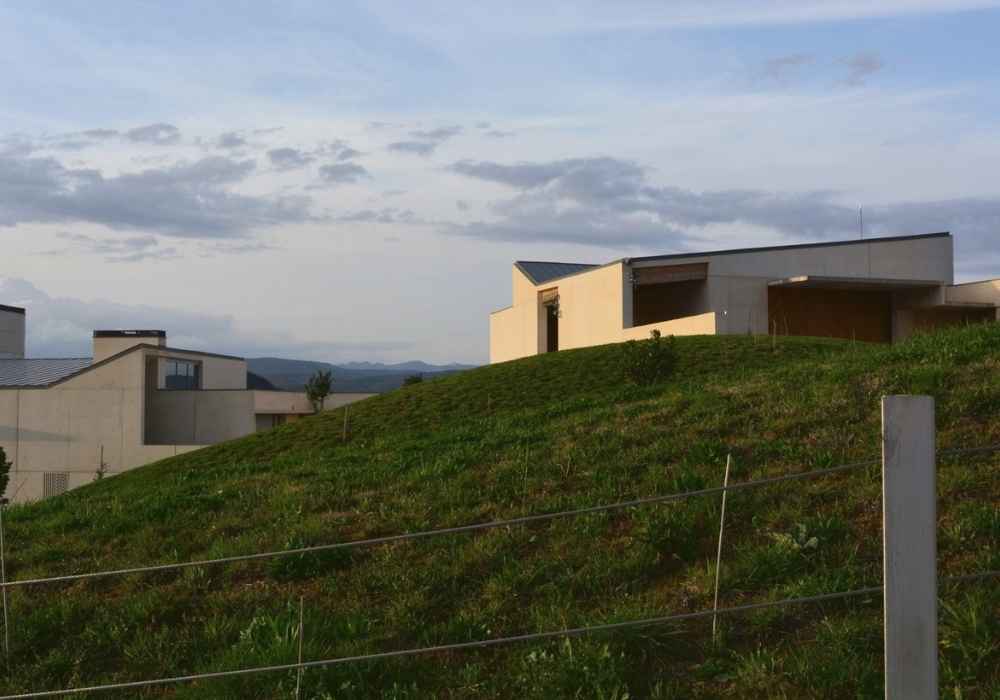 Vista de Bodega J.Palacios 