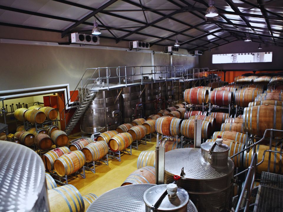 Interior de una bodega del Bierzo con barricas – enoturismo en El Bierzo
