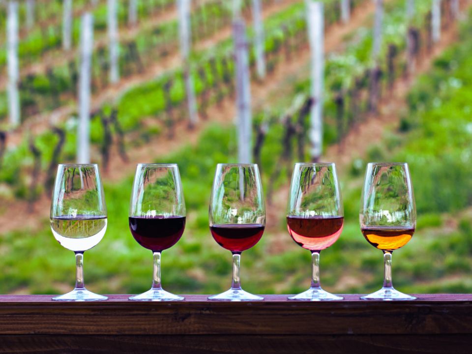 Fotografía con distintos vinos Glou Glou en sus copas correspondientes