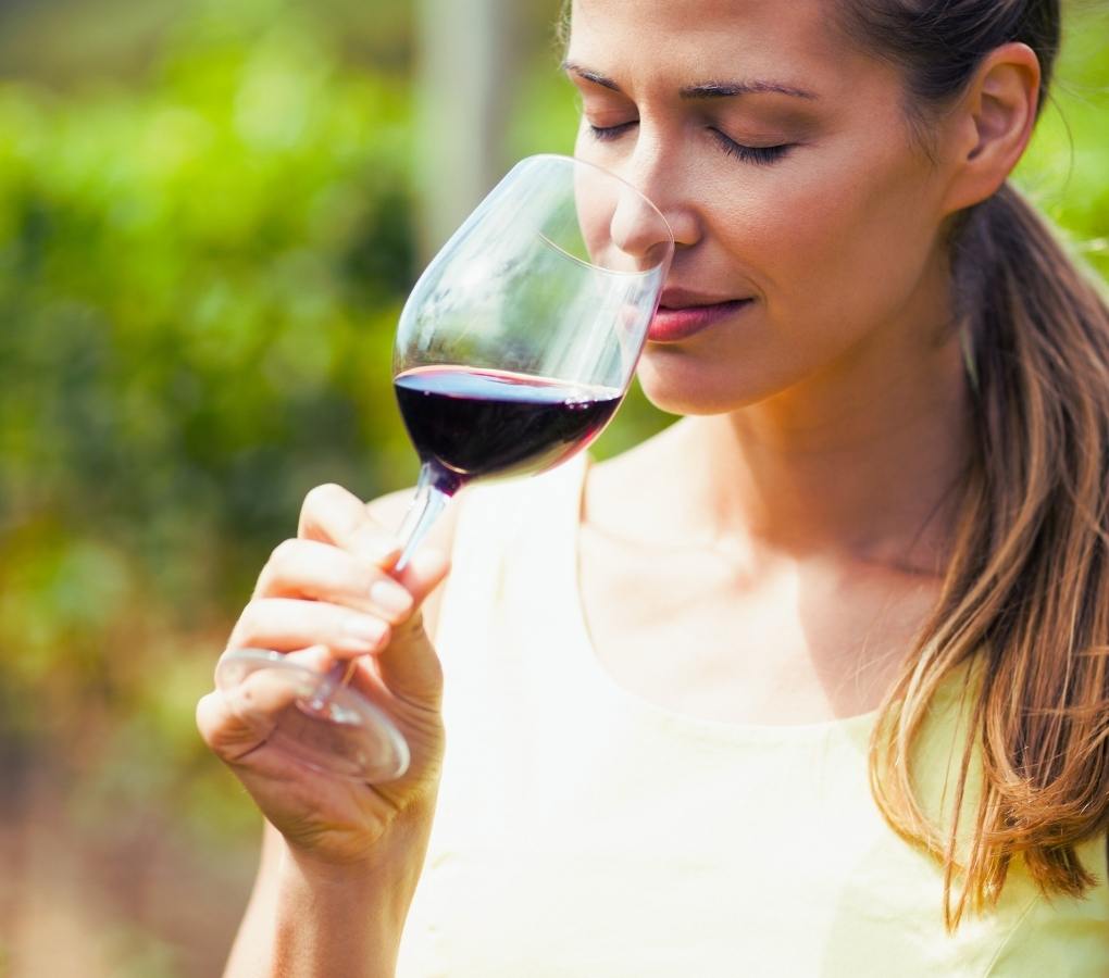 Evaluación del aroma del vino durante la cata de vino