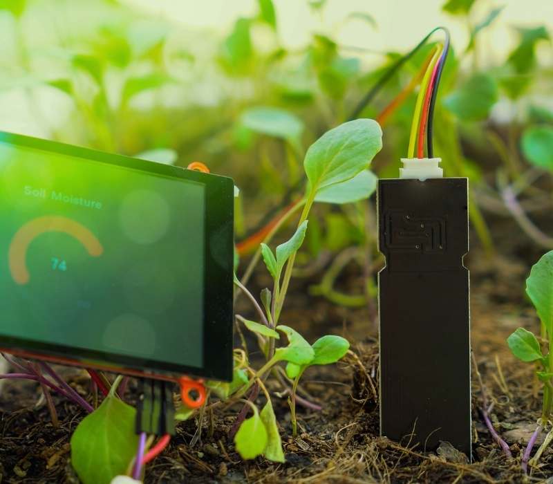 Sensores de humedad instalados en un viñedo del Bierzo